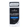 CLAYDRY™ BOLD Natural Deodorant – Charcoal Mint